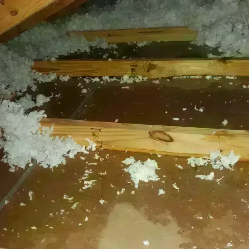 Attic Water Damage in Lake Ridge, VA